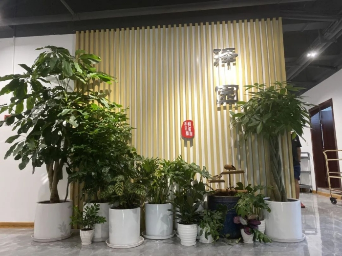澤園現(xiàn)狀4